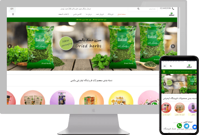 نمونه کار طراحی سایت